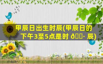 甲辰日出生时辰(甲辰日的下午3至5点是时 🕷 辰)